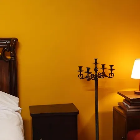 Jasemin-lule * Tiran